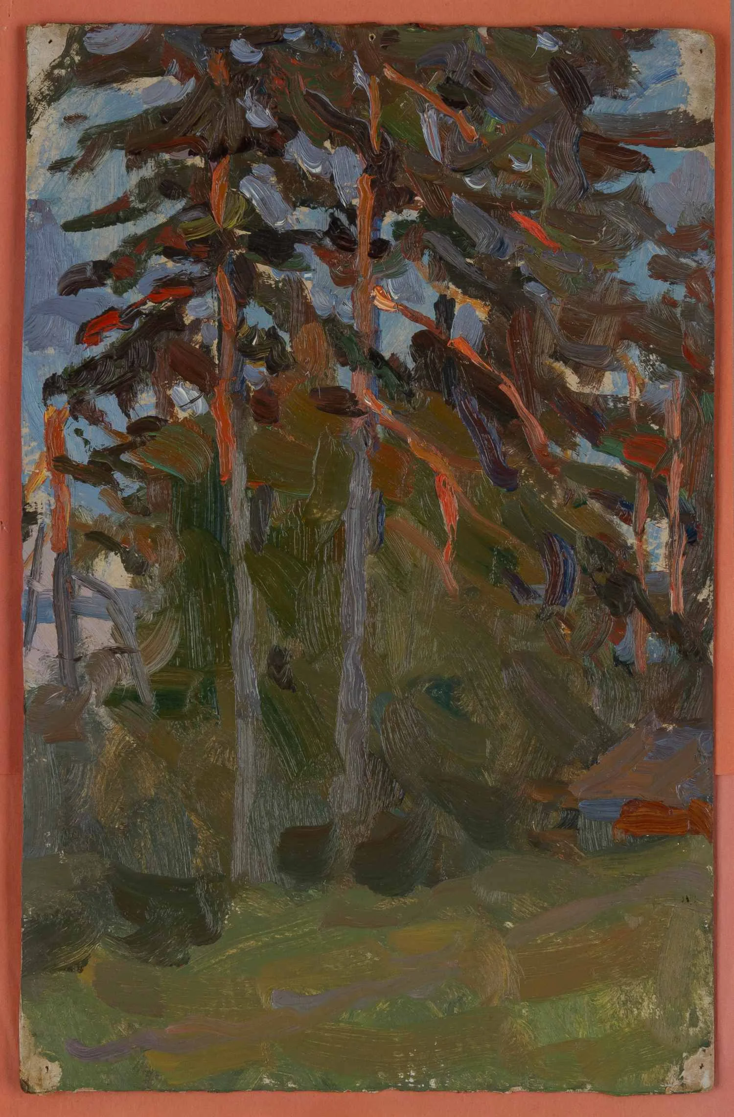 Назаров Константин Борисович. Сосны Селигера. 1956.