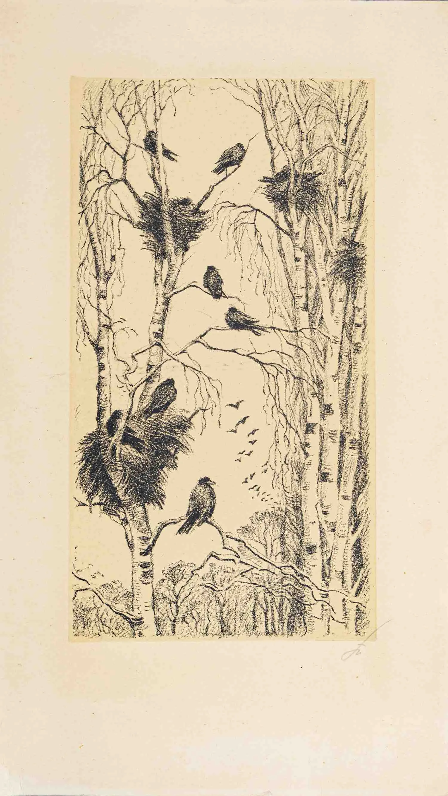 Белоусов Петр Петрович. Грачи. 1971.