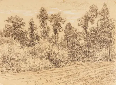 Морозов Константин Феофанович. Опушка леса. 1970-е.