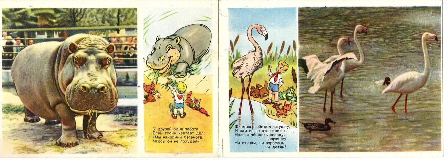 55 открыток «Звери». СССР, 1950-е - 1960-е годы.
