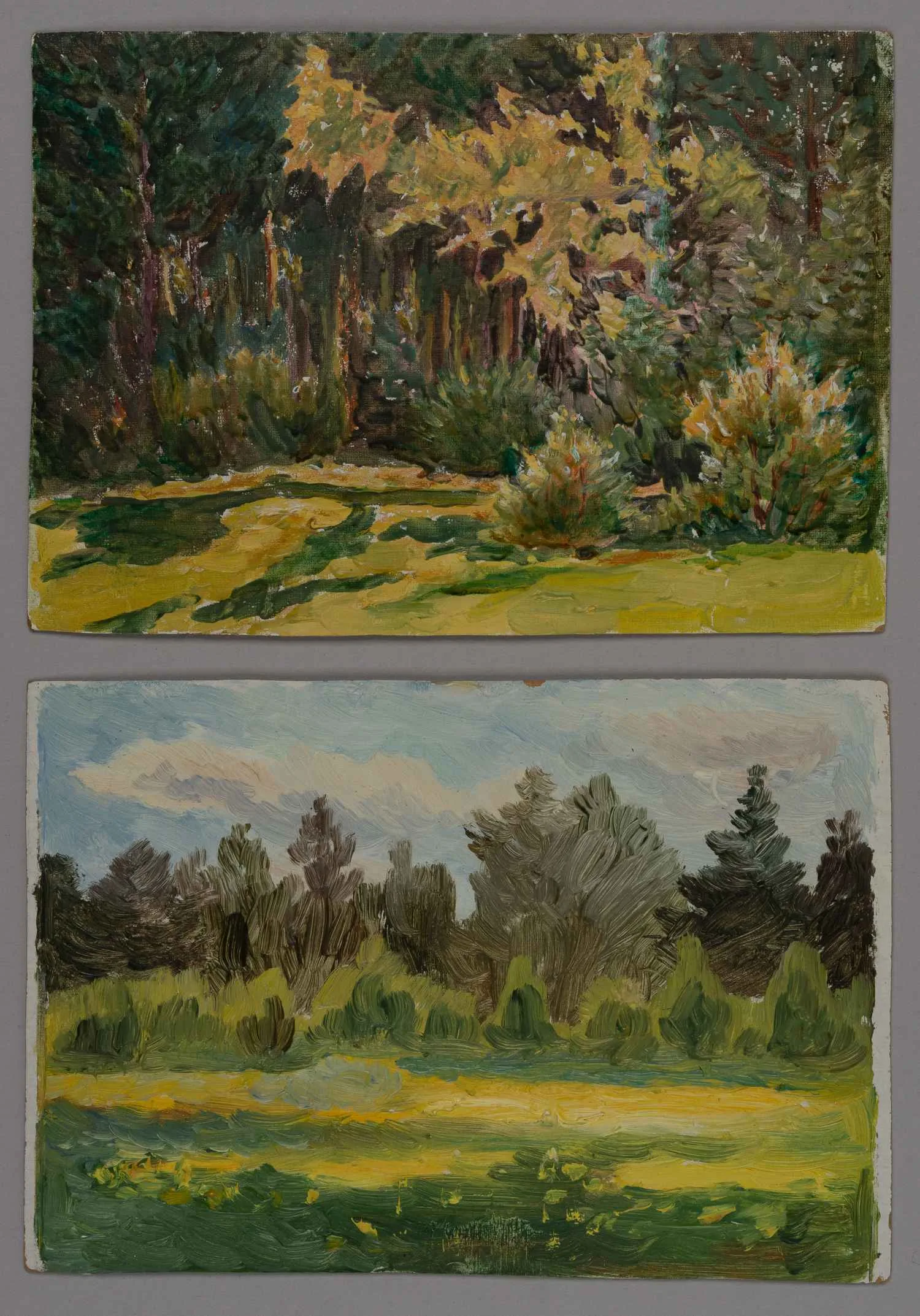 Ламцова Марина Сергеевна. Парные работы. Весна. Востряково. 1958. 1971.