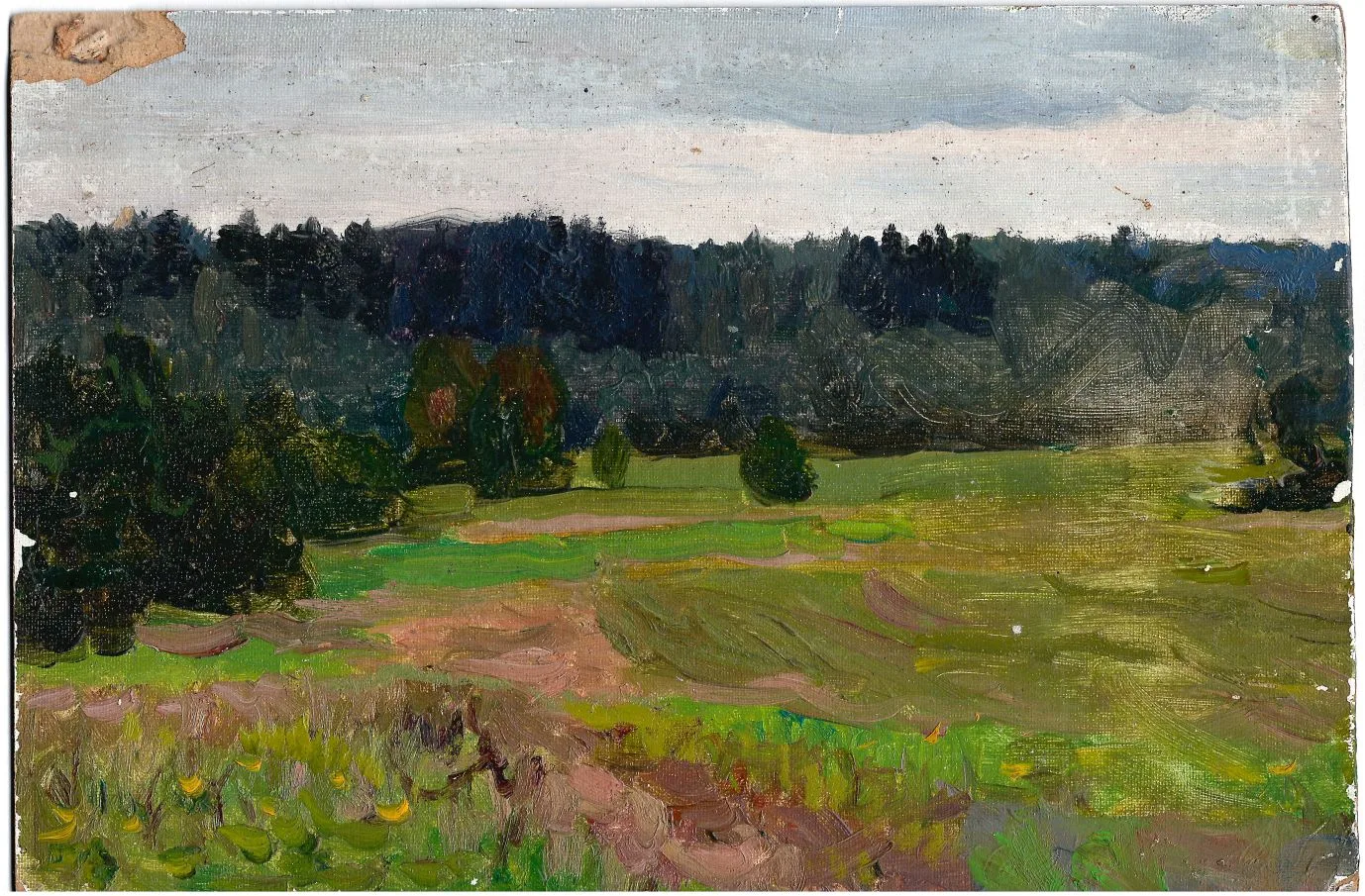 Кривошей Игорь Ефимович. Лес (Калистово). 1960.
