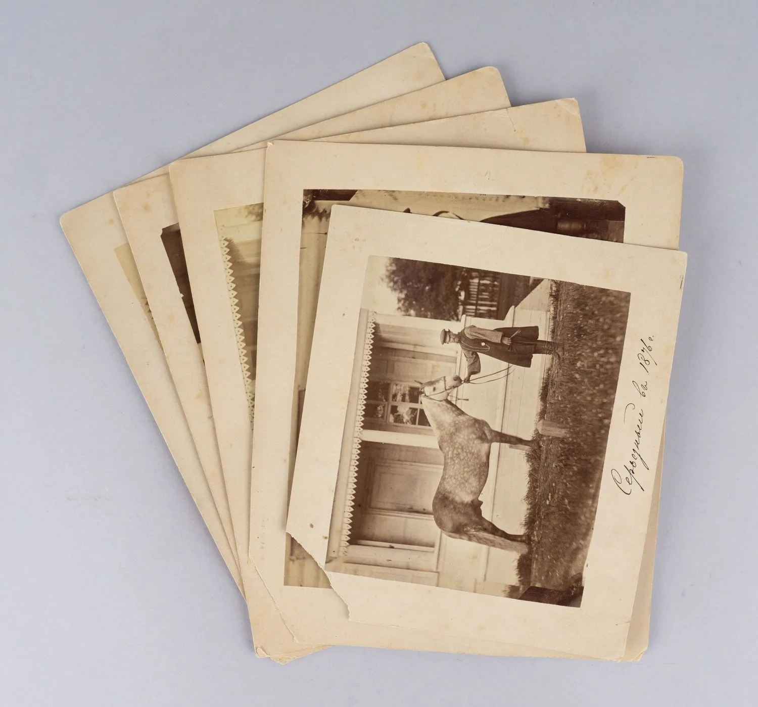 5 фотографий «Лошади». Россия, 1870-е годы.