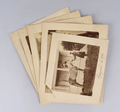 5 фотографий «Лошади». Россия, 1870-е годы.