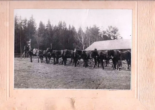5 фотографий. СССР, 1920-е годы.