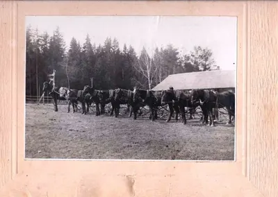 5 фотографий. СССР, 1920-е годы.