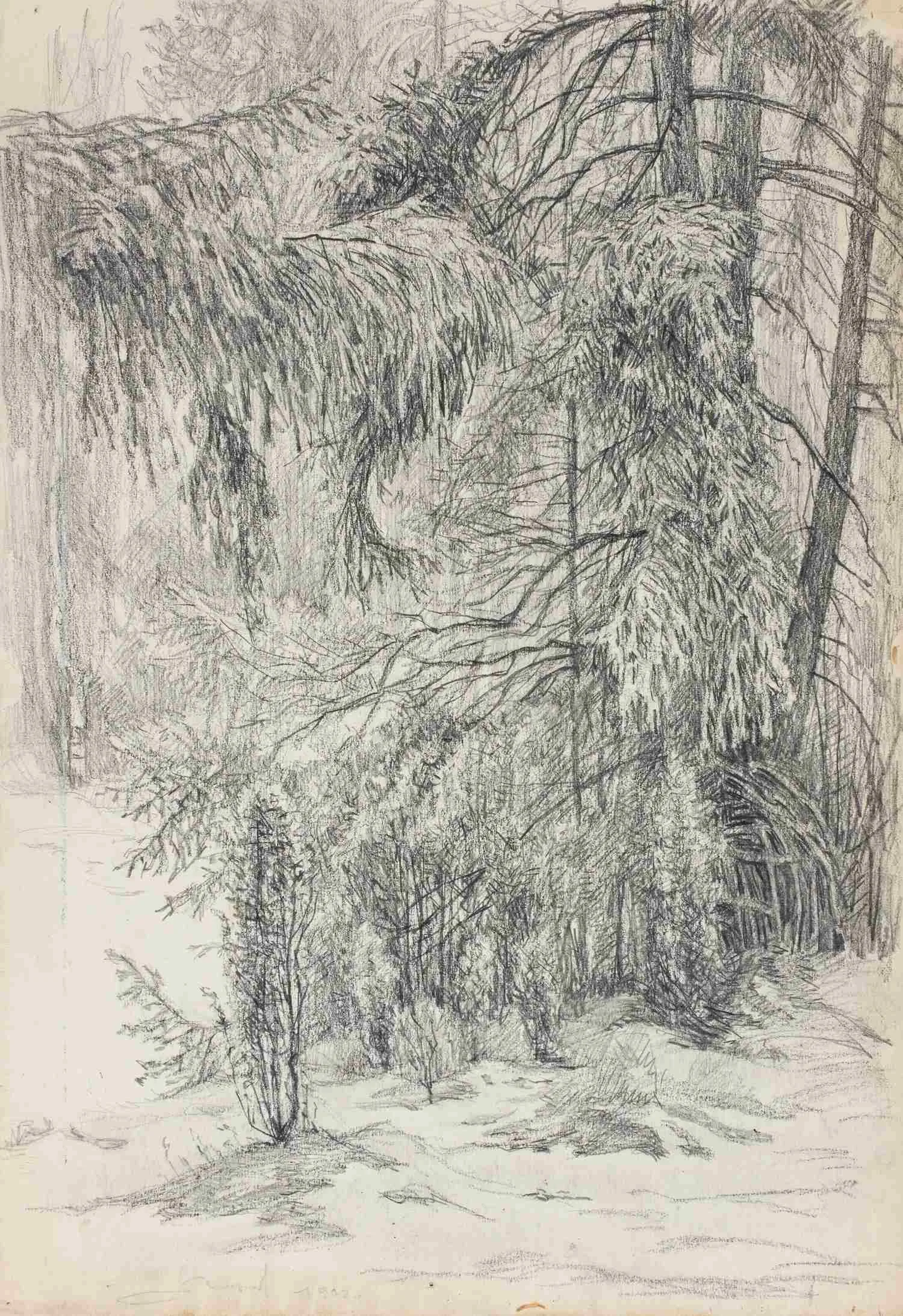 Морозов Константин Феофанович. Чаща леса. 1972.