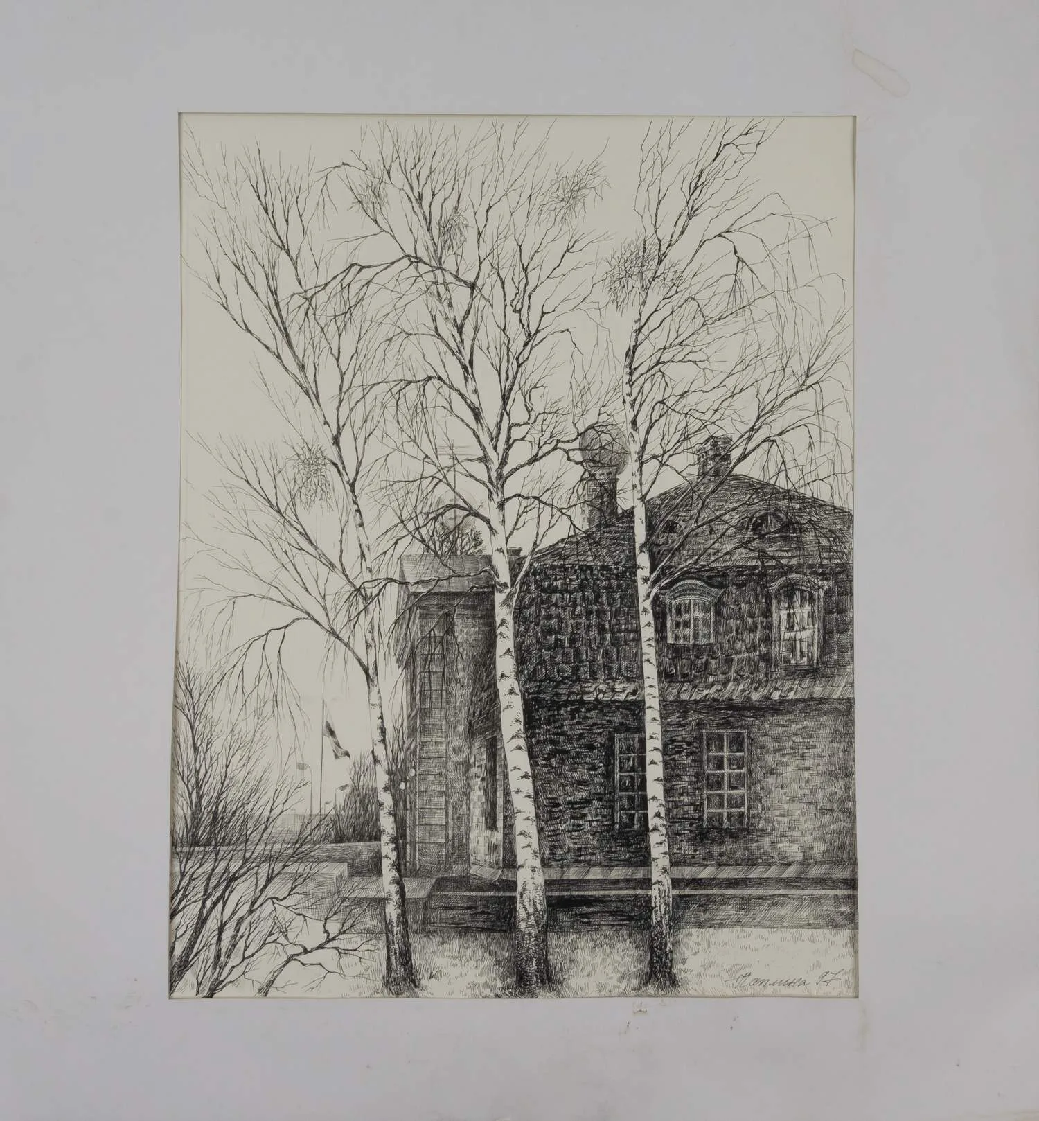 Чаплина Татьяна Александровна. Березы. 1997.