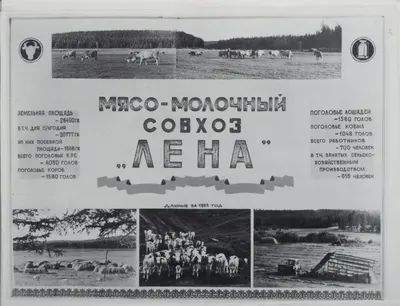 Подносной альбом сотруднику производственного объединения «Якутзолото» Александру Фёдоровичу Хаустову от работников совхоза «Лена» Усть-Алданского района. 1984.