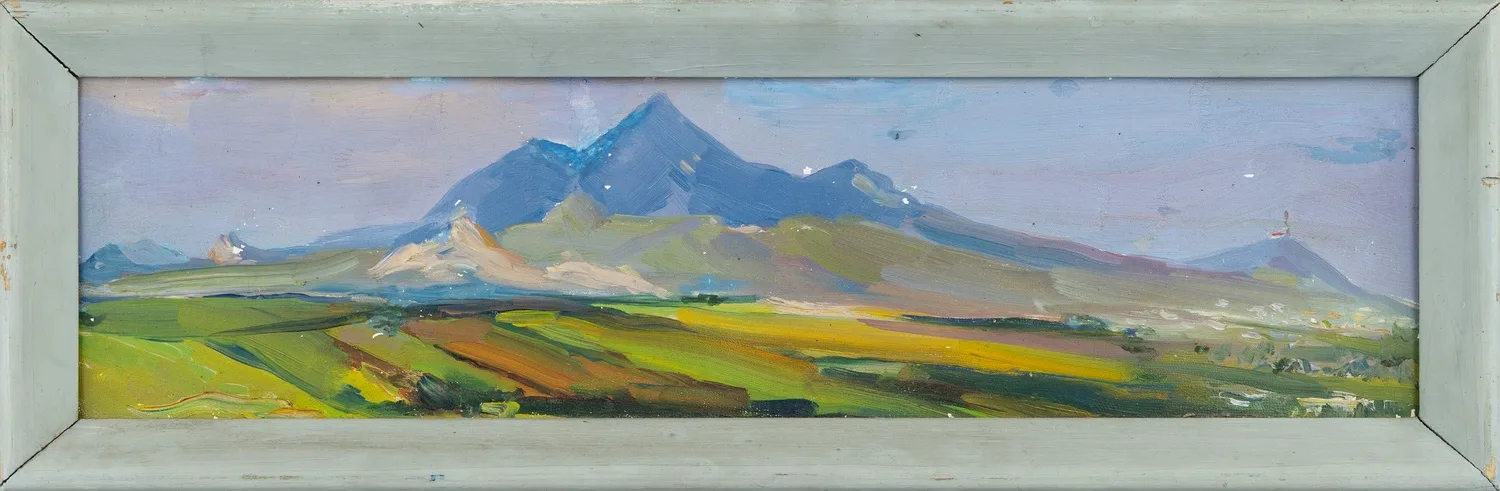 Шишкин Василий Клементьевич (?). Поле у гор. 1974.