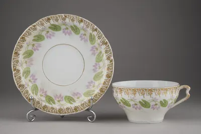 (Розенталь) Чайная пара в стиле модерн. Германия, Бавария, Фабрика Розенталь, 1891–1906 годы.