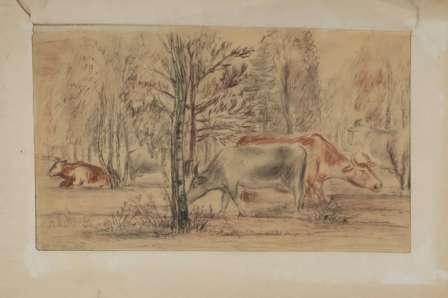 Федоров Василий Герасимович (?). Коровы. 1910-е годы.