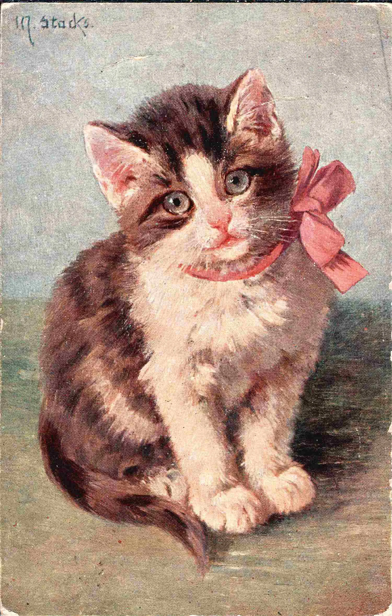 60 открыток «Кошки». Россия, СССР, Зап. Европа, XX век.