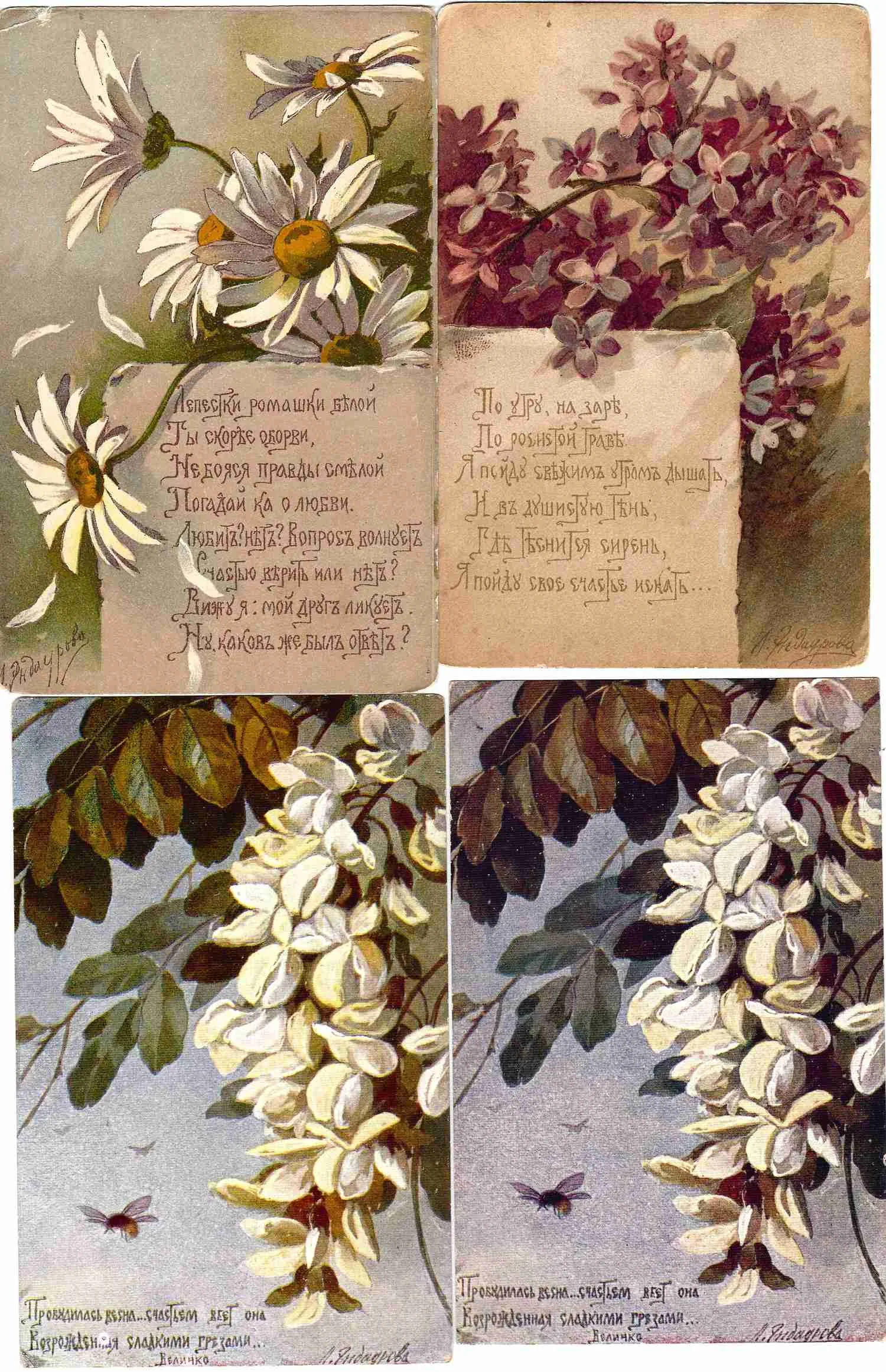 Эндаурова Л.М. 6 открыток «Цветы». Россия, СССР, 1910-е - 1920-е годы.
