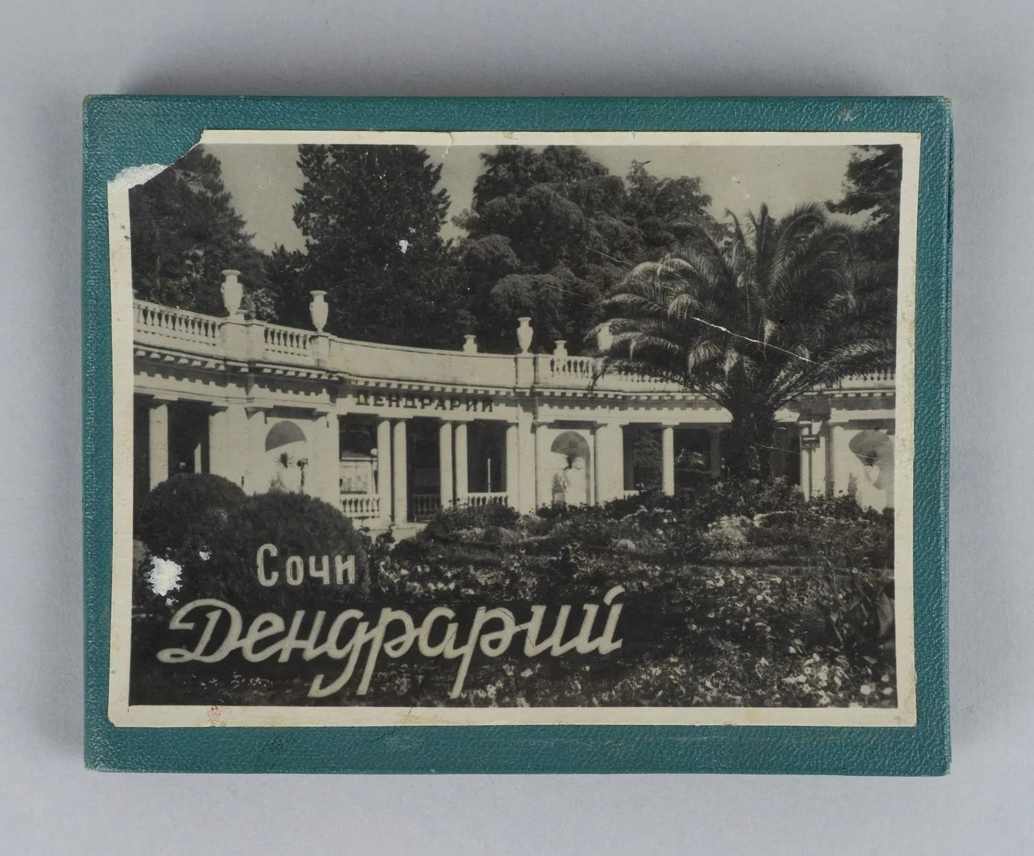 20 фотографий (комплект в издательской папке) «Фотовиды сочинского парка «Дендрарий». 1953.
