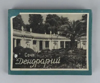 20 фотографий (комплект в издательской папке) «Фотовиды сочинского парка «Дендрарий». 1953.