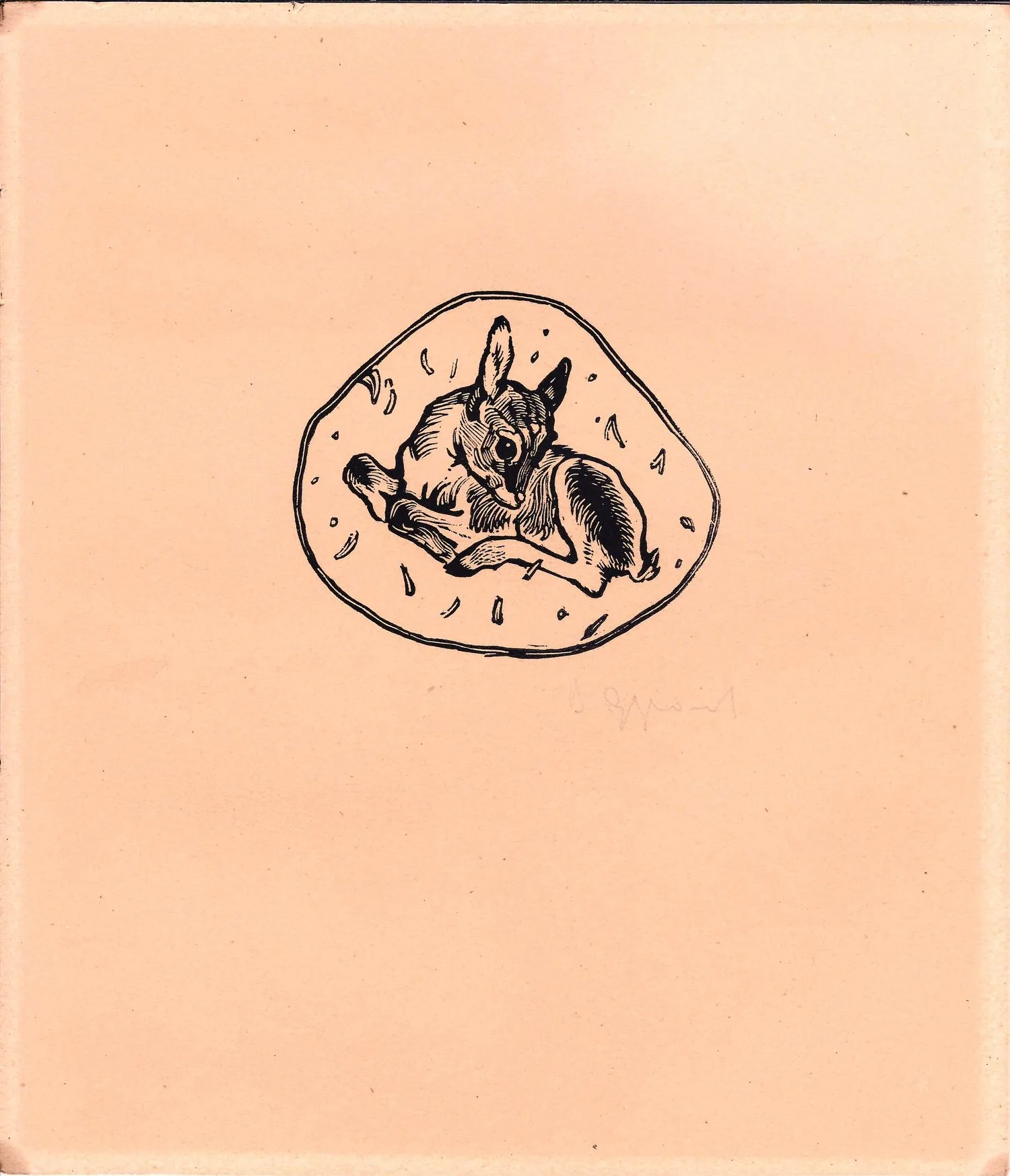 Фролов Вадим Антонович. Джейранчик. 1959.