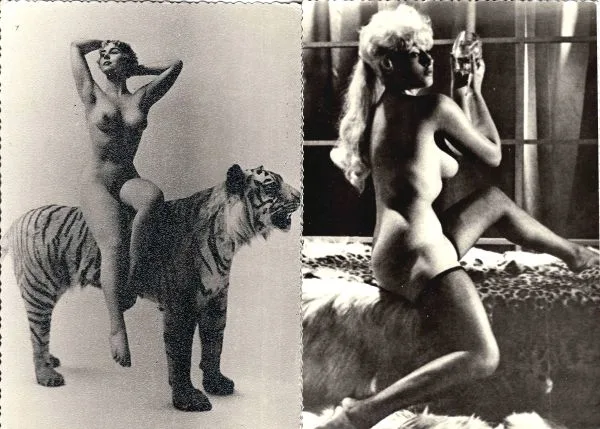 38 фотографий (формата открытки) «Ню». 1950-е - 1960-е годы.