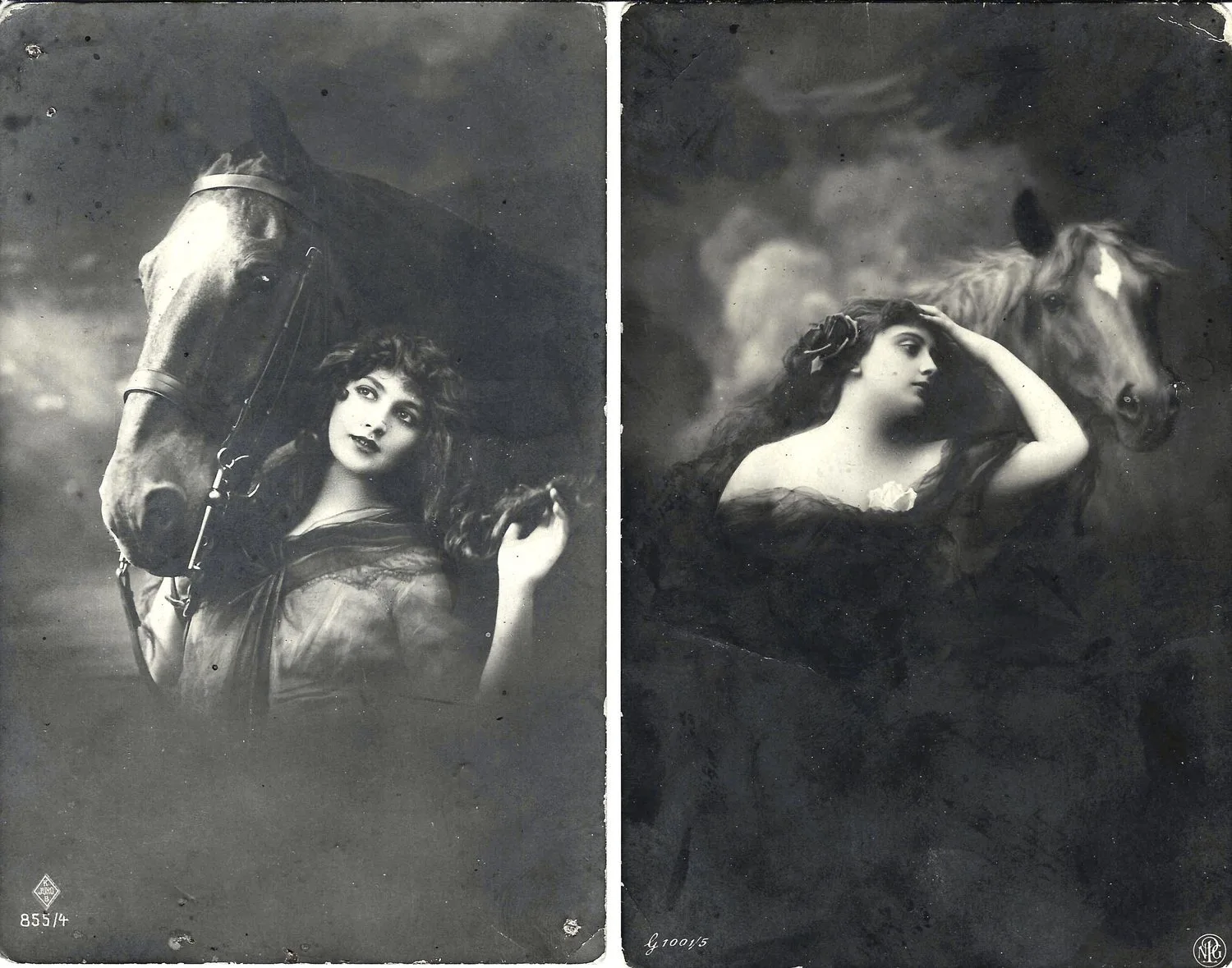 15 открыток «Лошади». Россия, СССР, Зап. Европа, 1900-е - 1930-е годы.