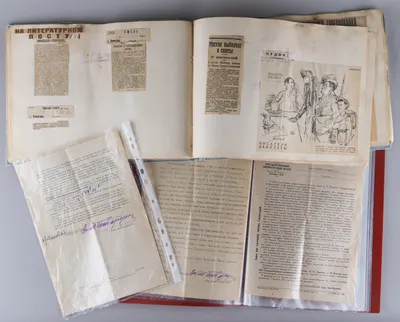 Документы из архива семьи писателя Н. Огнева. 1920-е - 1930-е годы.