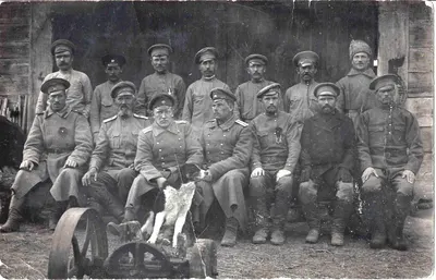 Фотография (формат открытки) «Солдаты и офицеры русской армии». 1917.