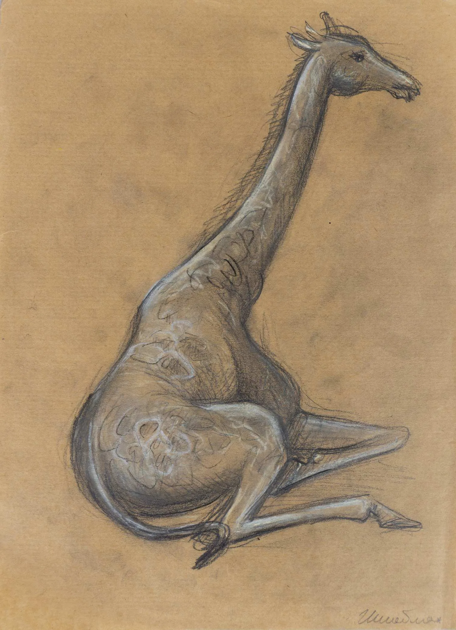 Штейман Алексей Георгиевич. Жираф. 1960-е - 1970-е годы.